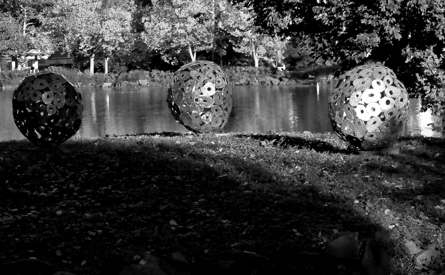 PA219373bw